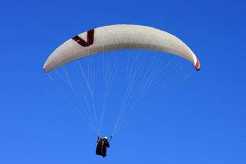 paraglider