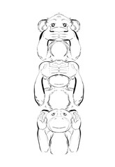 Funny Monkeys Sketch