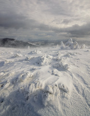 Hibernation. Carpathian, Ukraine.