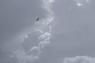 Licht bricht durch Wolken