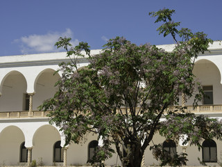 tunis