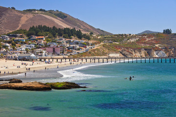 Avila beach--whale watching destination in California