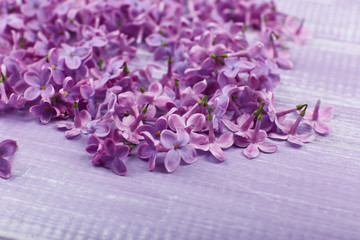 Lilac flowers on wooden background close up