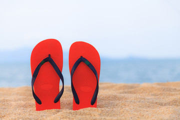 Fototapeta premium Slippers