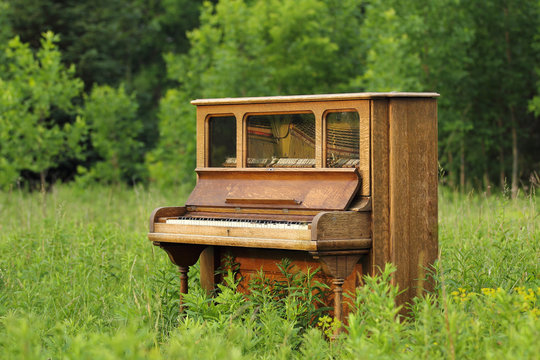 Old Upright Piano Abandoned in a Green Field