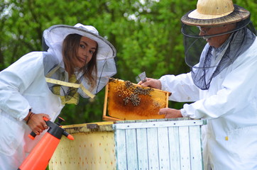 Pszczelarze pracujący w pasiece w okresie wiosennym
