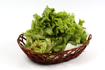 Fresh the lettuce in basket