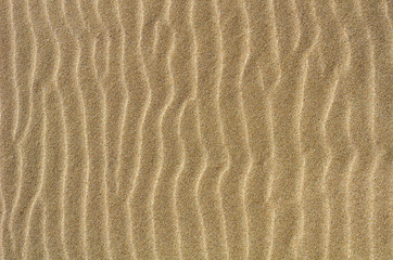 Texture of sand