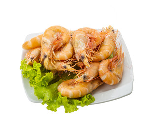 Big tiger shrimps