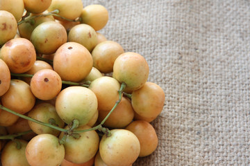 Baccaurea ramiflora or burmese grapes.