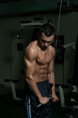 Fototapeta na wymiar Young Man Exercising Triceps In The Gym