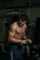 Fototapeta na wymiar Triceps Workout