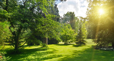 Naklejka premium Wschód słońca w pięknym parku
