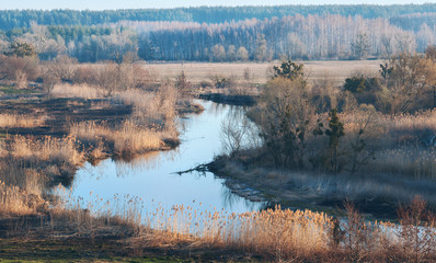 Fototapeta premium Spring river