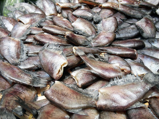 Dried fish