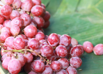 Fresh grapes on the market
