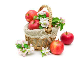 Apples and apple-tree flowers isolated on white background
