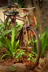 Close up of vintage old bicycle.