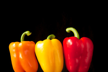Drei bunte Paprika vor Schwarz