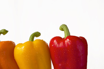 Drei Paprika mit Wassertropfen Detail