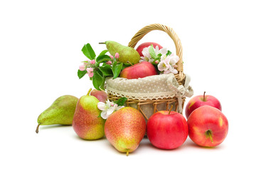 ripe pears and apples on a white background
