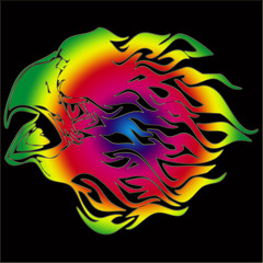 Tête d'aigle arc-en-ciel