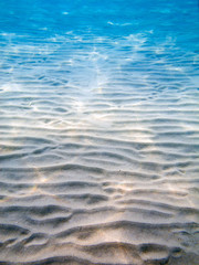 underwater landscape