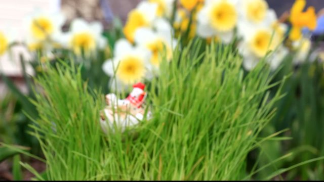 Chicken toy in green grass at the garden