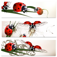 Business cards set with beetles in nature style