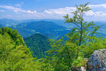 Summer scenery from The Three Crowns massif.