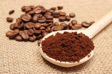 Ground coffee on wooden scoop and grains in background