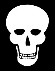 White Skull on Black