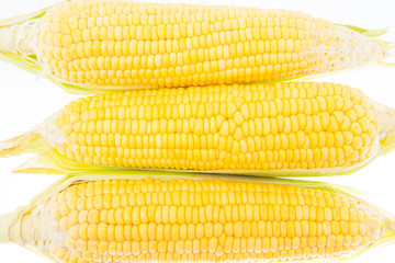 Corn
