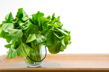 Centella asiatica