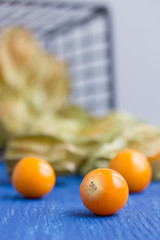 (Physalis alkekengi) winter cherry