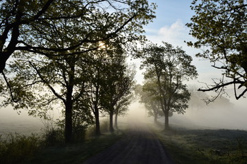Fototapeta na wymiar Die Rhön im Nebel