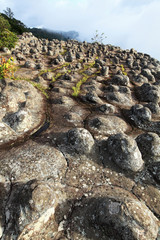 Pattern of The Stone