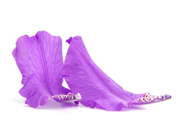 Afwasbaar Fotobehang Iris iris
