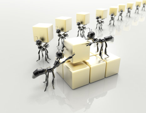 Business team 3d black ants