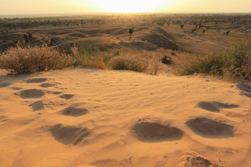 Sand Dune with no light rays