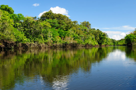 Amazon river landscape in Brazil