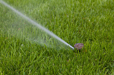garden sprayer