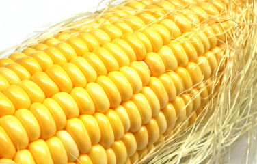 Corn on the cob kernels close up shot