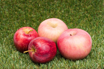 Apple on green grass