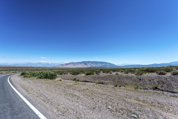 Los Cardones National Park in Salta, Argentina.