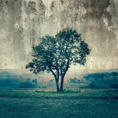 Pojedyncze drzewo reprezentuje samotność i smutek - 64485400