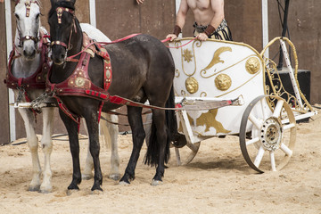 Games, Roman chariot in a fight of gladiators, bloody circus