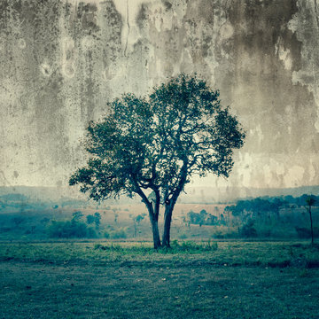 Fototapeta Pojedyncze drzewo reprezentuje samotność i smutek