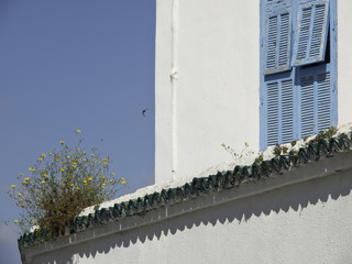tunis
