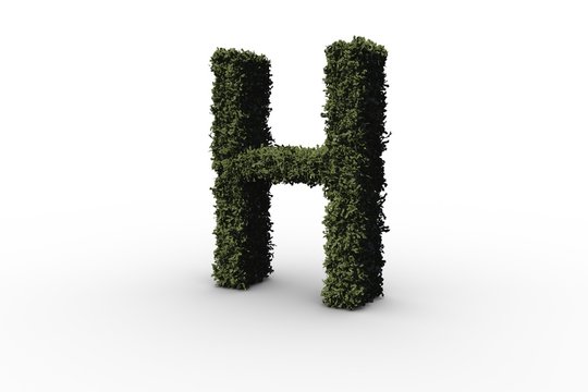 Capital letter h made of leaves